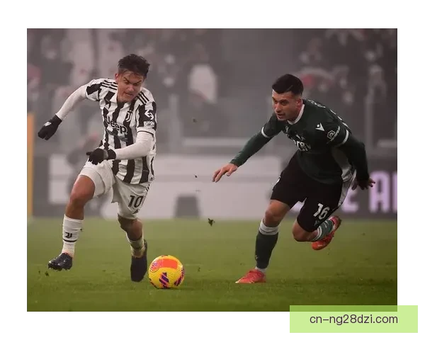 维罗纳版竞技队阵容构建蓝图篇